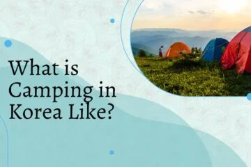 What is Camping in Korea Like