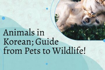 Animals in Korean; Guide from Pets to Wildlife!