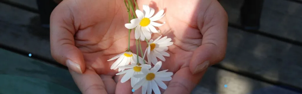 가락 Meaning; 가락 Words