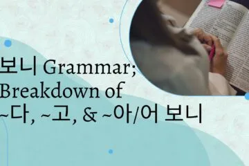 보니 Grammar; Breakdown of ~다, ~고, & ~아어 보니